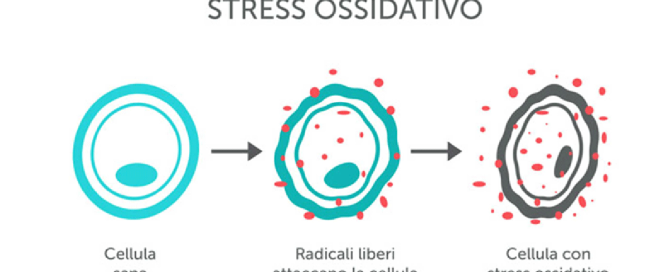 ipossia-stress-ossidativo